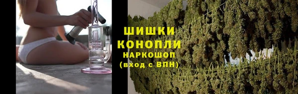 ГАЛЛЮЦИНОГЕННЫЕ ГРИБЫ Медвежьегорск