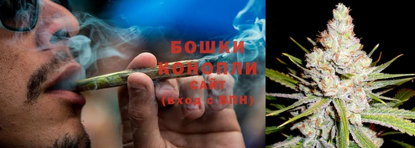 амф Зерноград