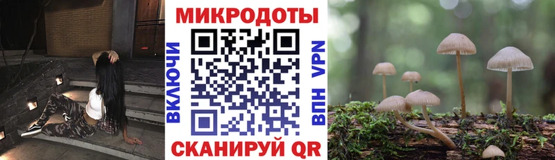 Галлюциногенные грибы ЛСД  гидра зеркало  Щигры  где купить наркоту 